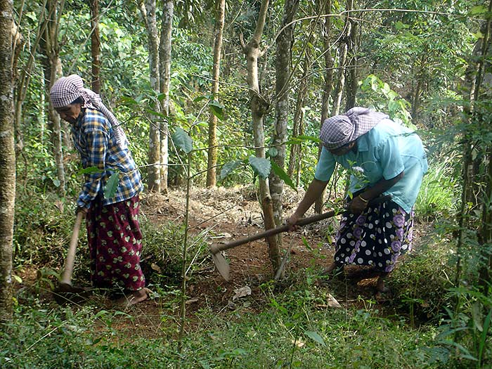 working women in Kerala